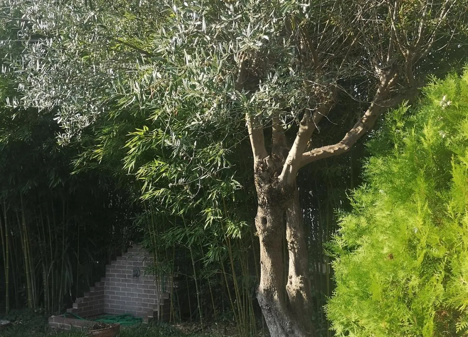 Vila Bamboo Garden Nea Iraklia Prázdninový dům