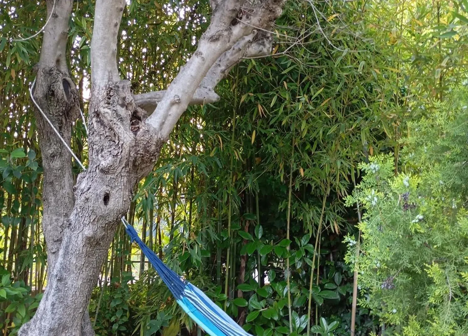 Prázdninový dům Vila Bamboo Garden Nea Iraklia Řecko